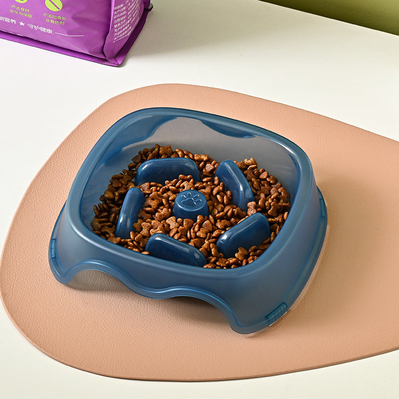 Slow Feeder Dog Bowl – Anti-Choking & Safe Eating