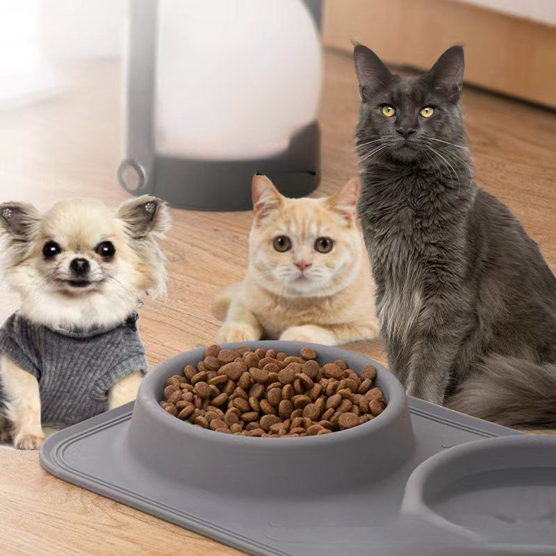 Foldable Pet Bowl – Non-Slip Travel Feeding Bowl
