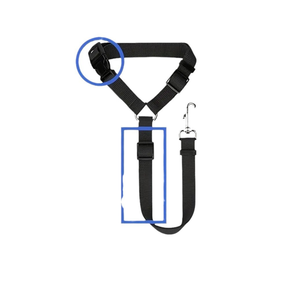 Dog & Cat Car Seat Belt – Travel Safely Anywhere