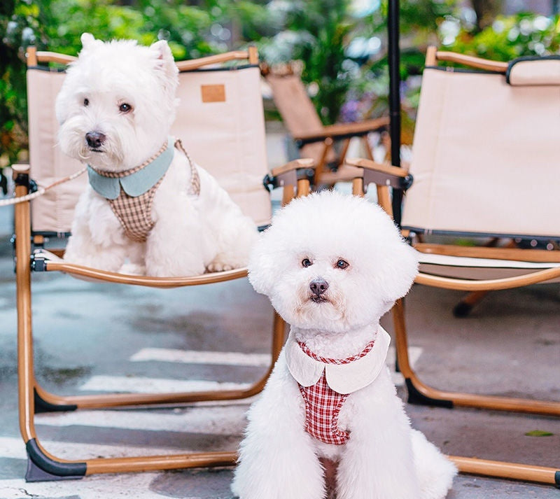 Fashion Small Dog Harness – Vest Rope Style