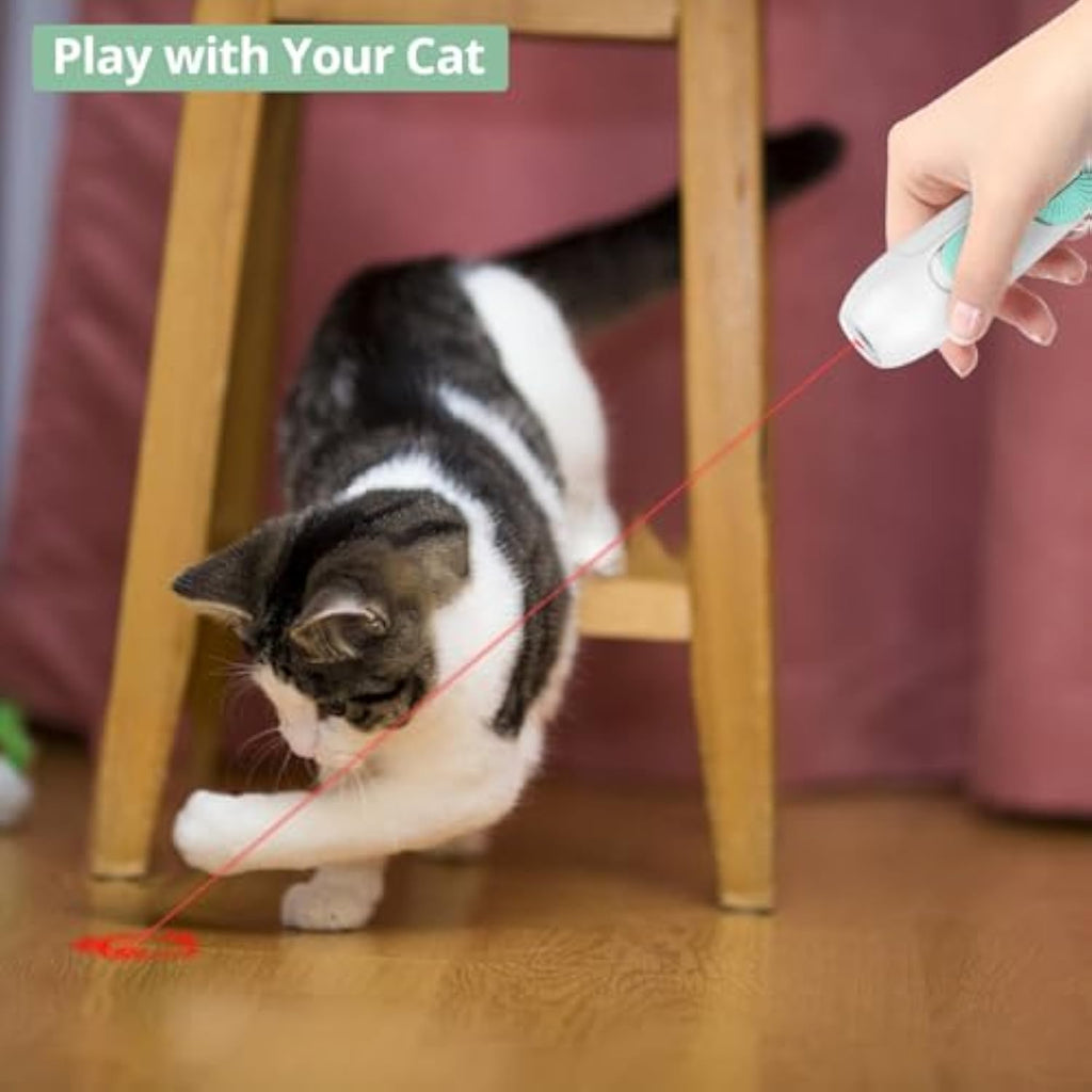 Interactive Cat Toy – Laser Pointer & Feather Wand
