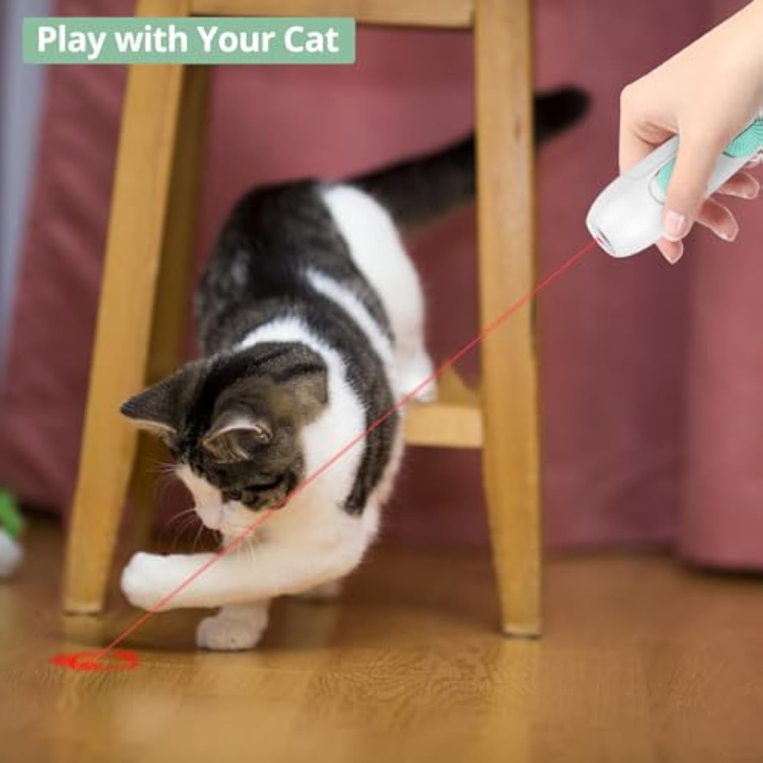 Interactive Cat Toy – Laser Pointer & Feather Wand