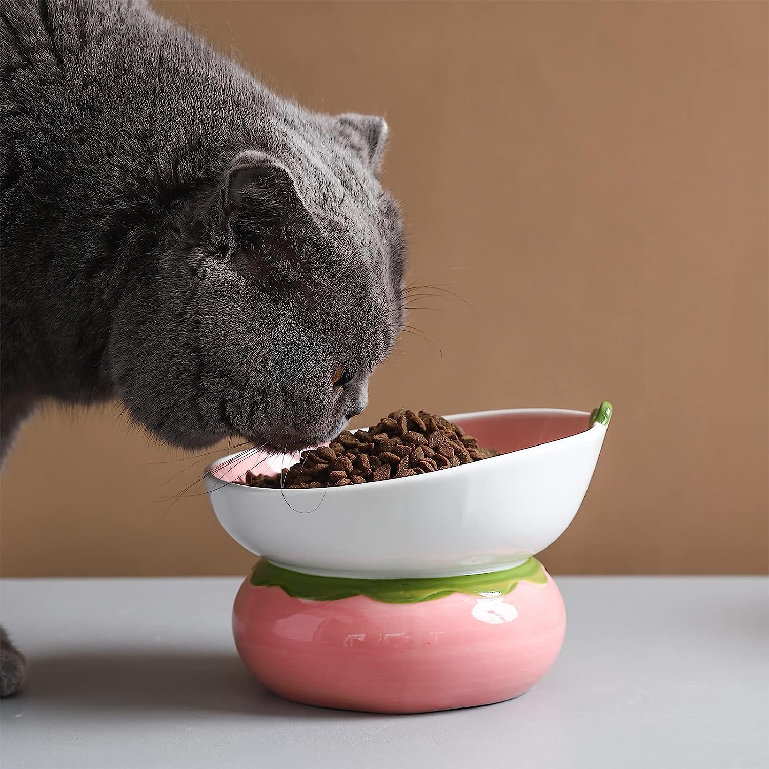 Ceramic Elevated Cat Bowl – Spine Friendly Feeding