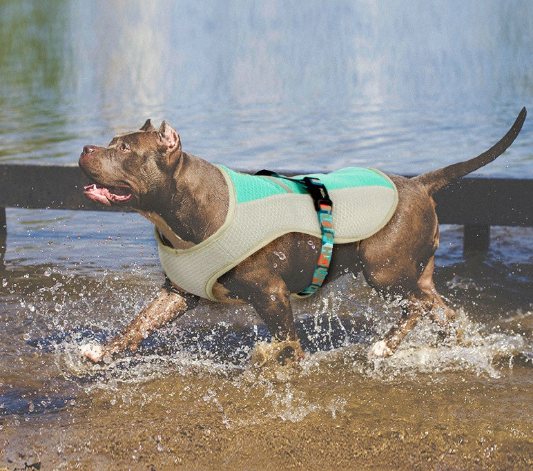 Pet Cooling Coat – Summer Heatproof Dog Vest