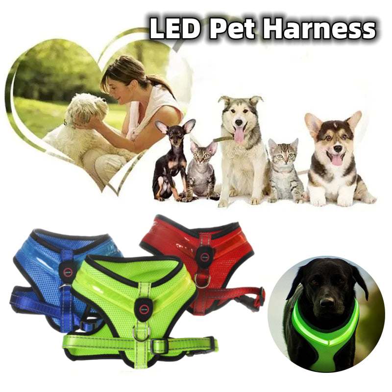LED Dog Harness – USB Rechargeable Reflective Vest
