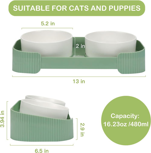 Ceramic Elevated Cat Bowls – Anti Vomit Feeding Set
