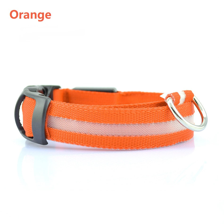 Safety Dog LED Collar – High Visibility Night Light