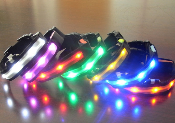 Vibrant LED Dog Collar – Bright Night Glow