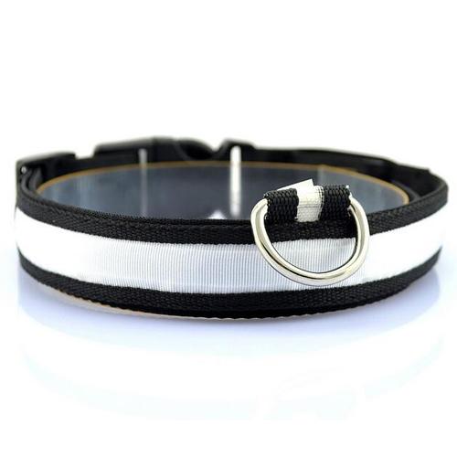 Vibrant LED Dog Collar – Bright Night Glow