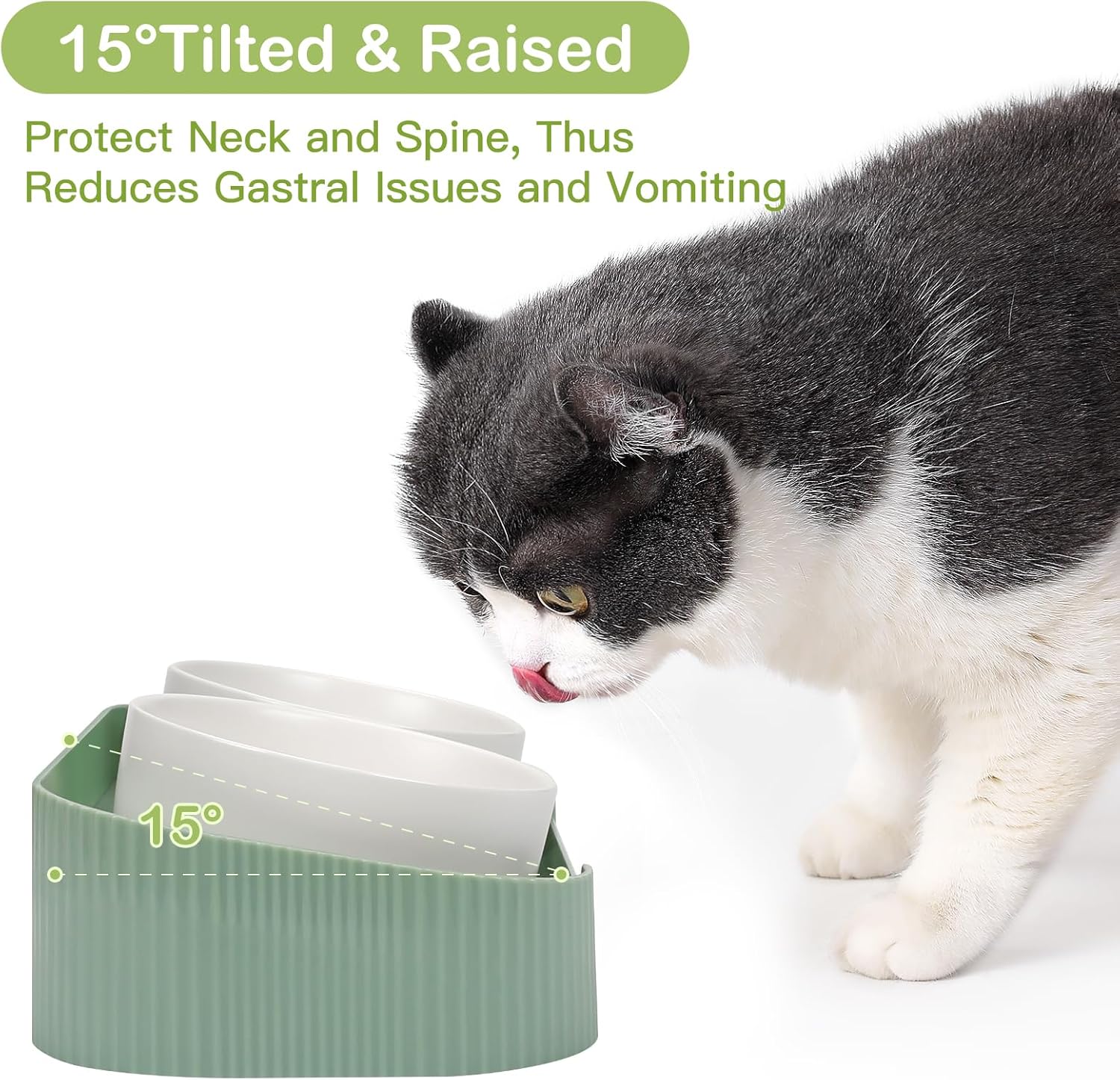 Ceramic Elevated Cat Bowls – Anti Vomit Feeding Set