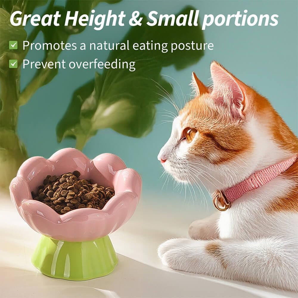 Cute Flower Cat Bowl – Elevated, Wide & Comfortable