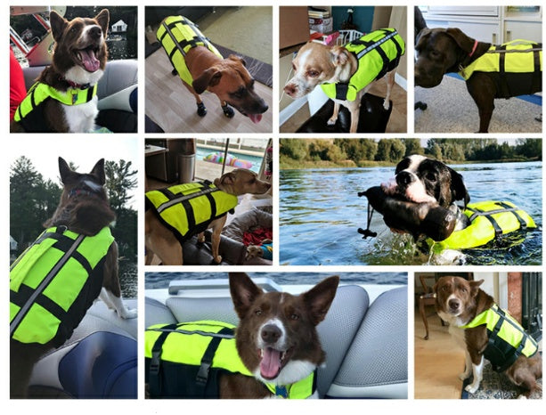 Inflatable Dog Life Vest – Diving Fabric Swimwear