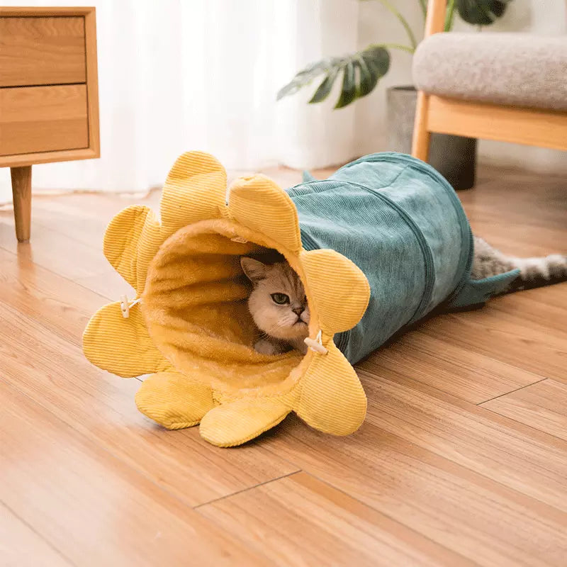 Fruit Cat Tunnel Toy – Funny Play Tube