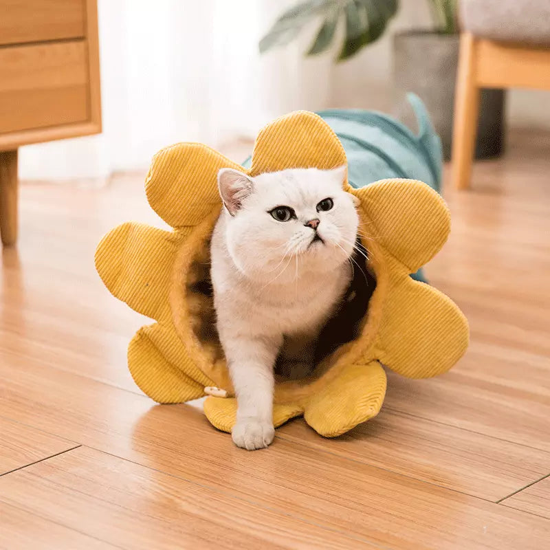 Fruit Cat Tunnel Toy – Funny Play Tube