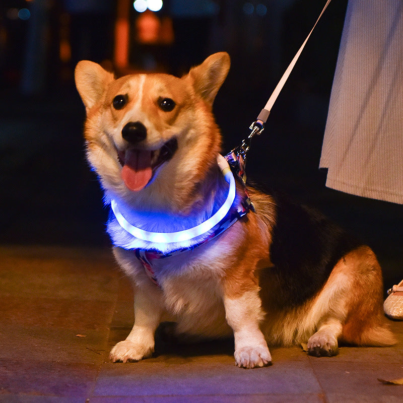 USB Rechargeable Luminous LED Dog Collar