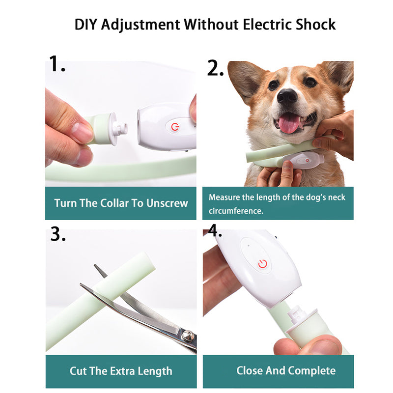 USB Rechargeable Luminous LED Dog Collar