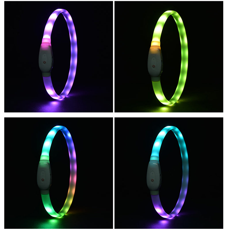USB Rechargeable Luminous LED Dog Collar