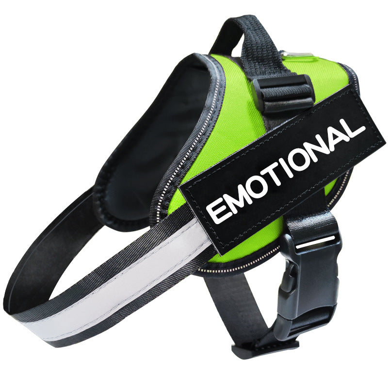 Reflective Dog Leash – Safe Night Walking Lead