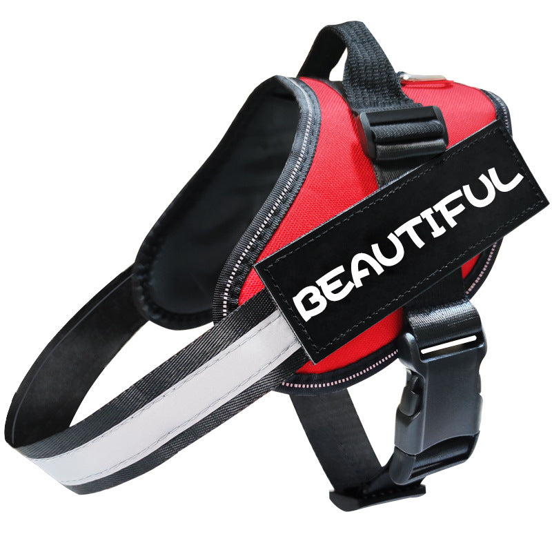Reflective Dog Leash – Safe Night Walking Lead