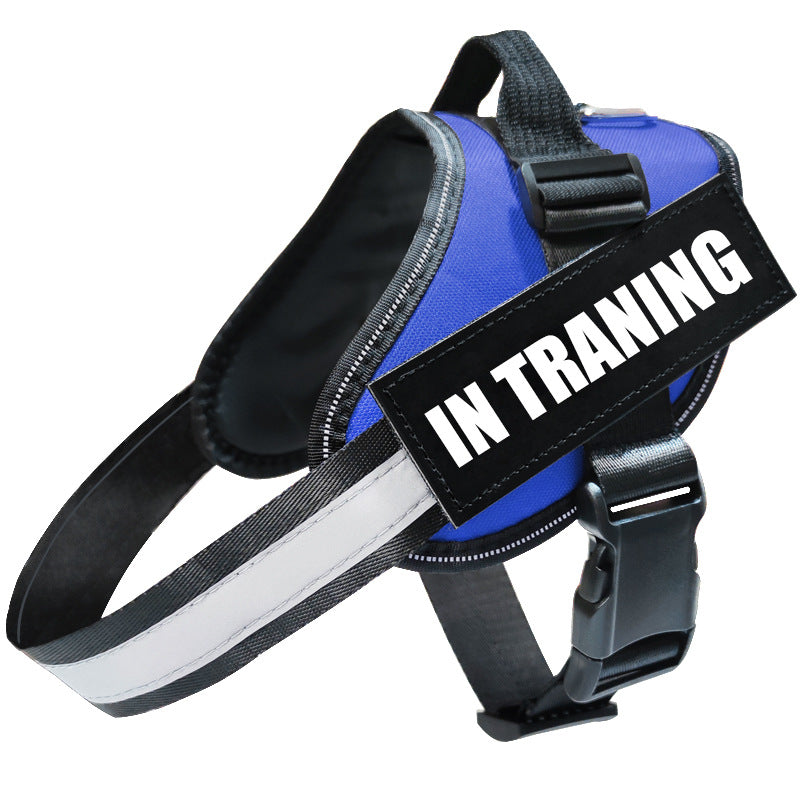 Reflective Dog Leash – Safe Night Walking Lead