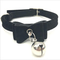 Love-Themed Cat Collar – Adjustable & Cute