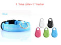 Safety Dog LED Collar – High Visibility Night Light