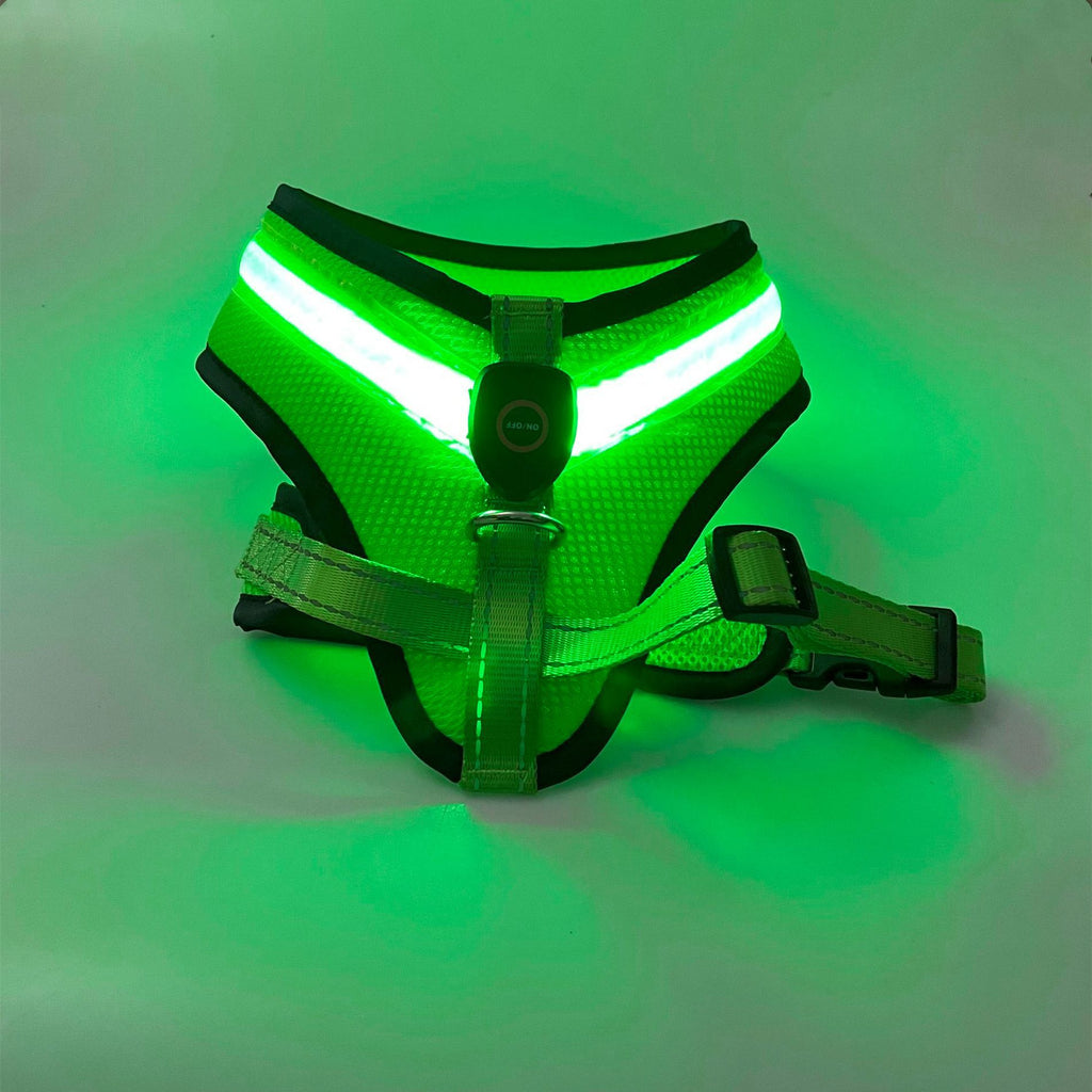 LED Dog Harness – USB Rechargeable Reflective Vest