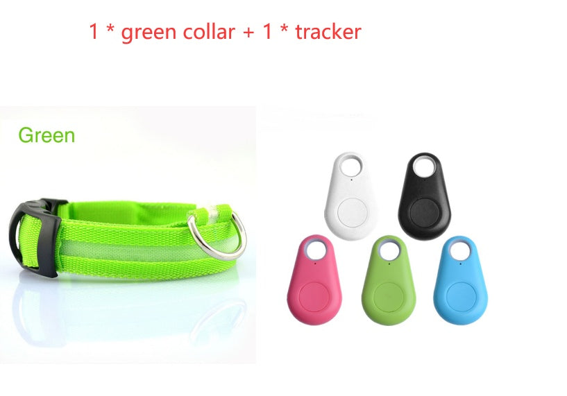 Safety Dog LED Collar – High Visibility Night Light