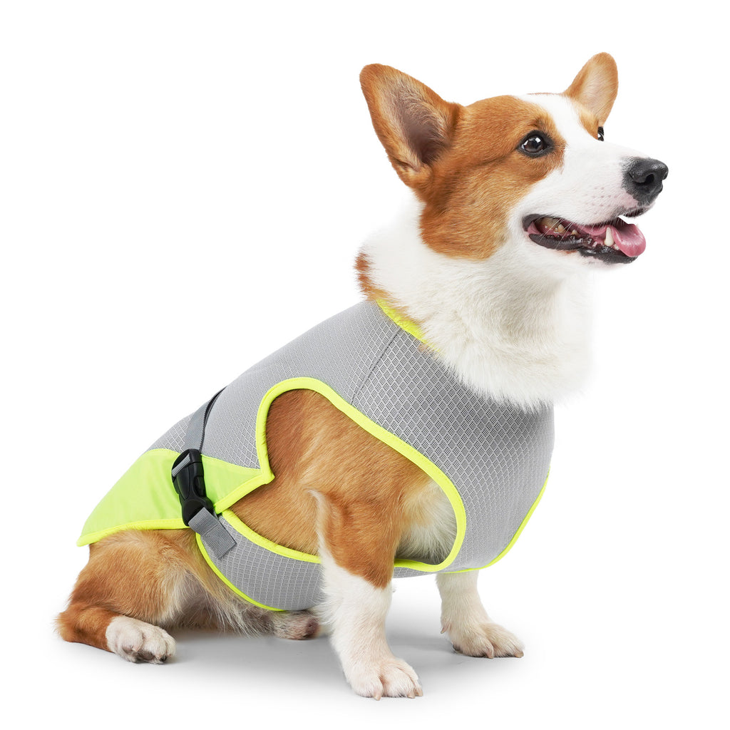 Cooling Dog Vest – Breathable Heatstroke Protection