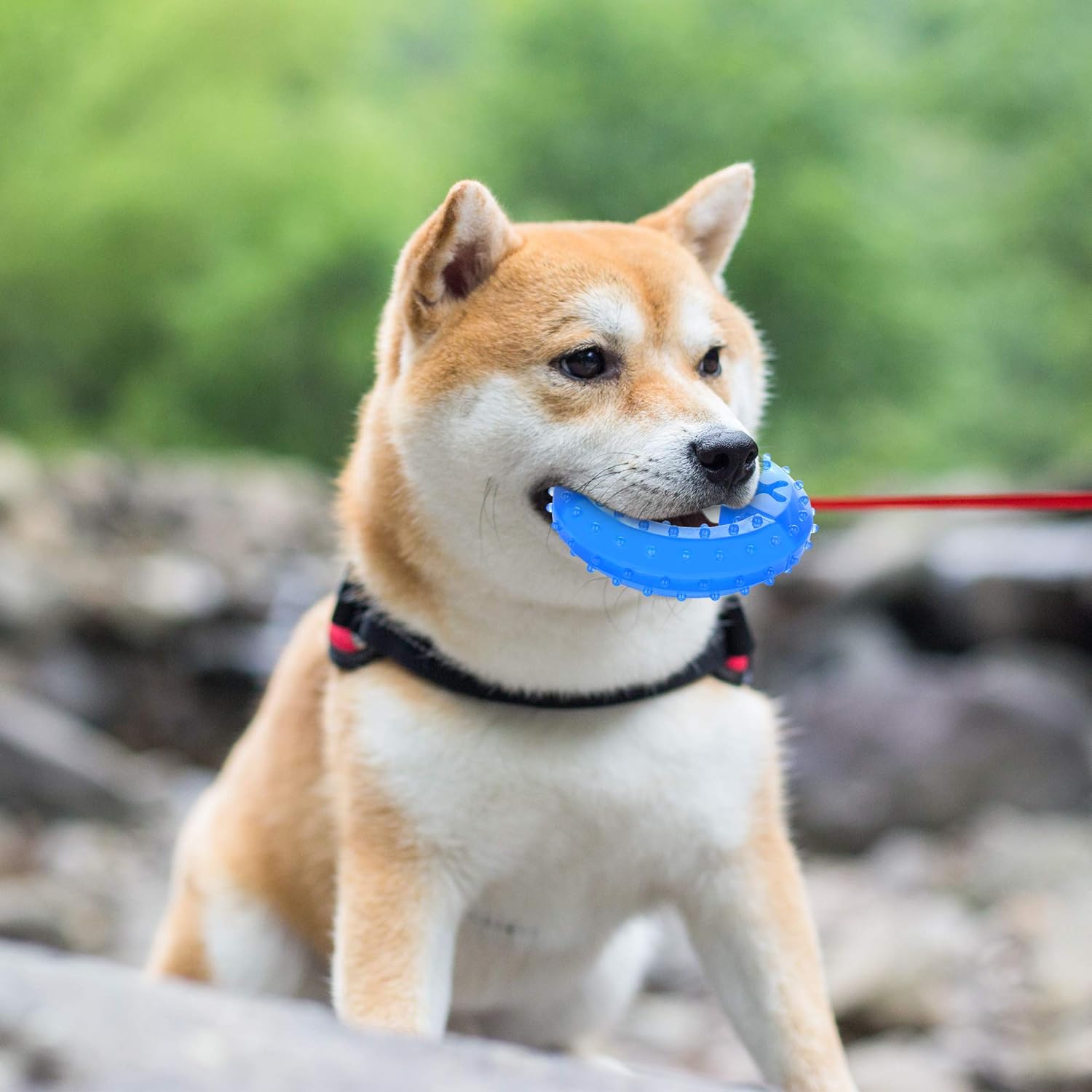 Puppy Teething Toy – Cooling Chew with Treat Slot