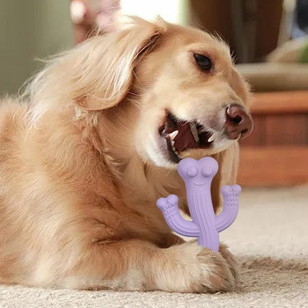 Indestructible Cactus Dog Toy – Tough Chewer Friendly