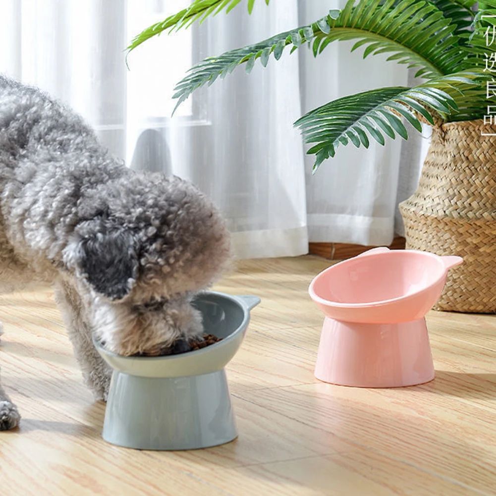 Elevated Tilted Pet Bowl – Anti Vomiting Feeding Dish