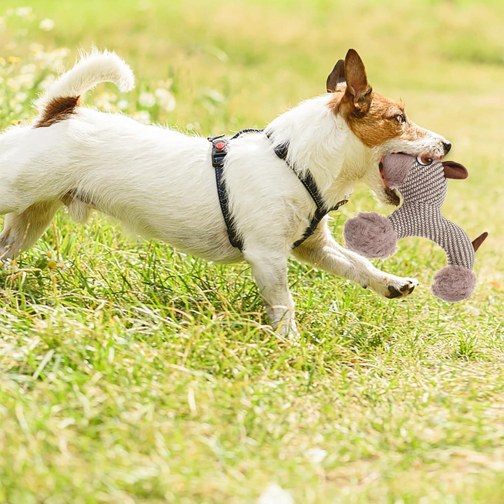 Large Dog Plush Toy – Squeaky Interactive Chew