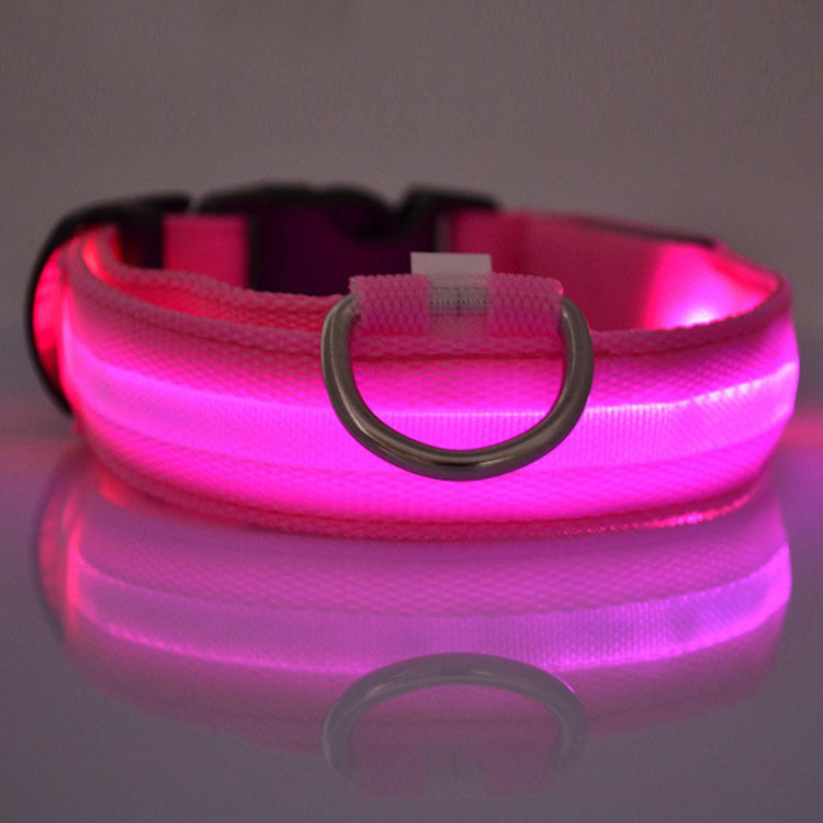 Safety Dog LED Collar – High Visibility Night Light
