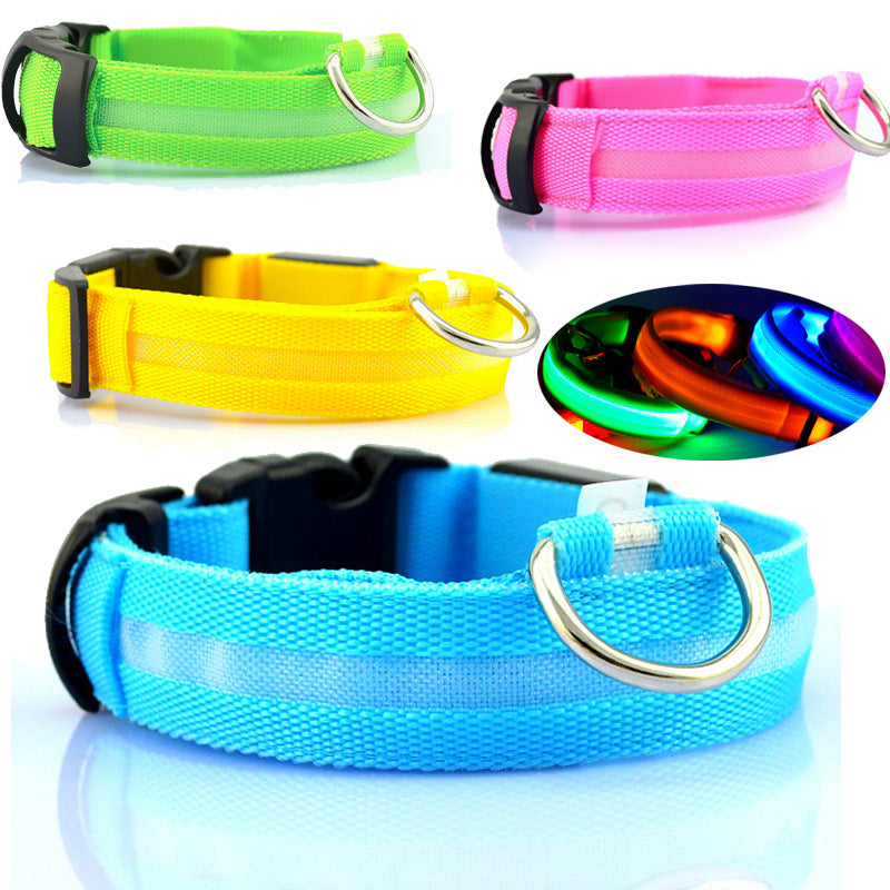 Safety Dog LED Collar – High Visibility Night Light