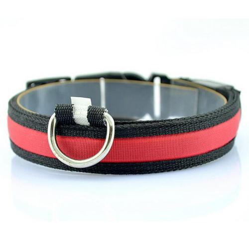 Vibrant LED Dog Collar – Bright Night Glow