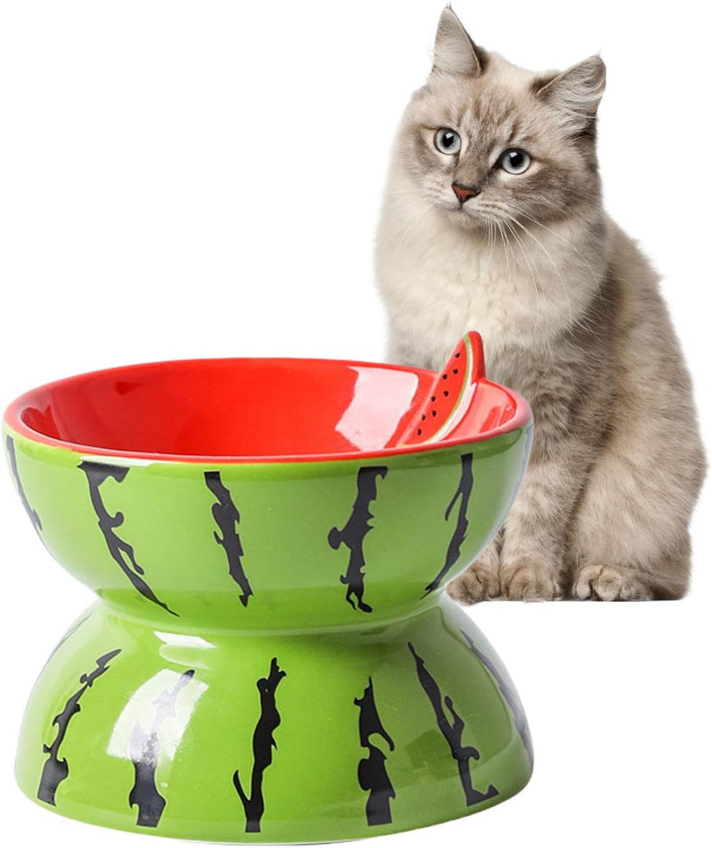 Ceramic Raised Cat Bowl – Anti Vomit Tilted Feeder