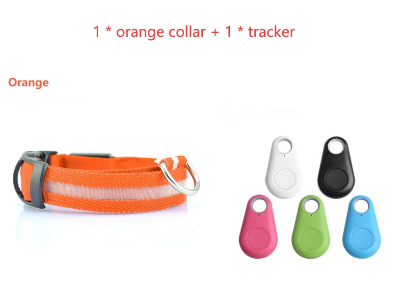 Safety Dog LED Collar – High Visibility Night Light