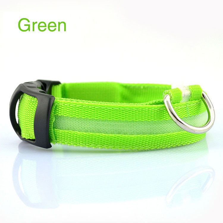 Safety Dog LED Collar – High Visibility Night Light