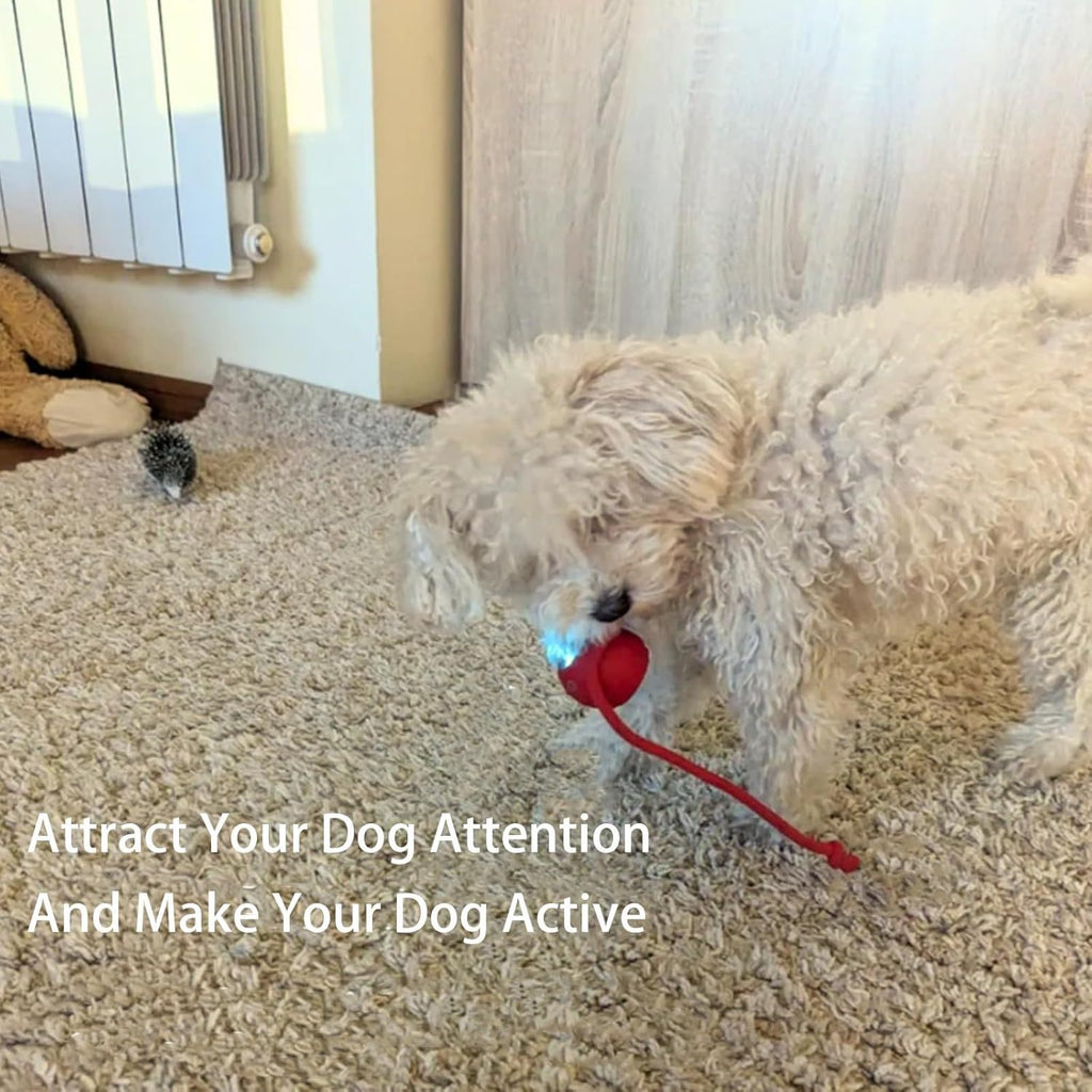 Smart Interactive Ball – Keeps Pets Busy & Entertained