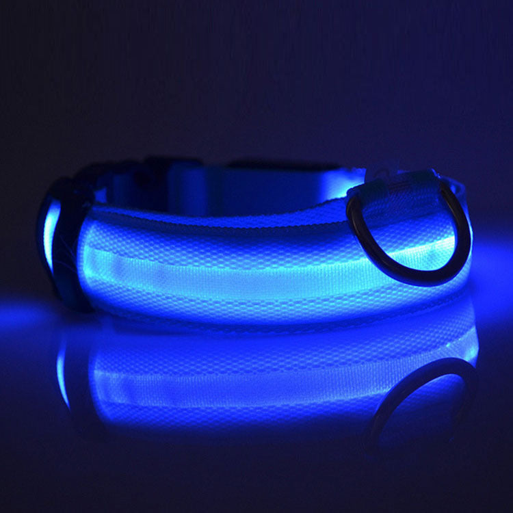 Safety Dog LED Collar – High Visibility Night Light