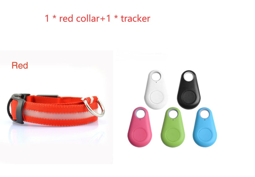 Safety Dog LED Collar – High Visibility Night Light
