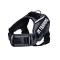 Reflective Dog Leash for Chest Harness – Safe Walking Lead