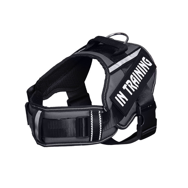 Reflective Dog Leash for Chest Harness – Safe Walking Lead