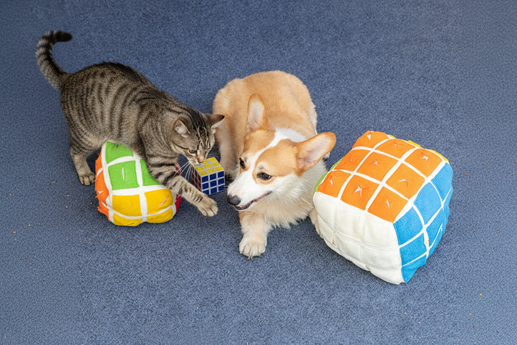 Rubik’s Cube Pet Puzzle – Sniffing Treat Toy