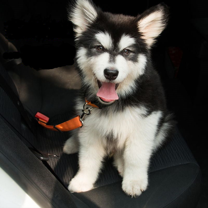 Adjustable Dog Seat Belt – Reflective Elastic Harness