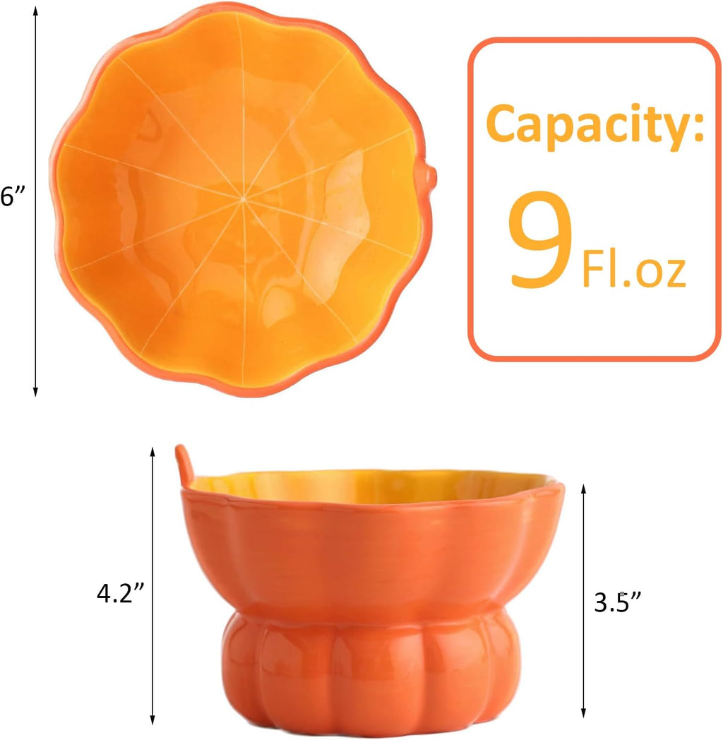 Ceramic Elevated Cat Bowl – Spine Friendly Feeding