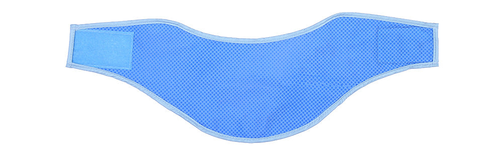 PVA Cooling Vest – Summer Dog & Cat Wear