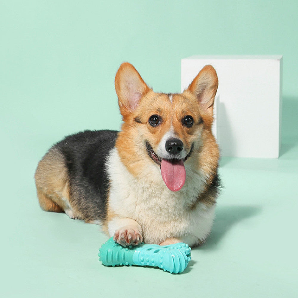 Water Dog Toy – Molar Rod with Treat Slot