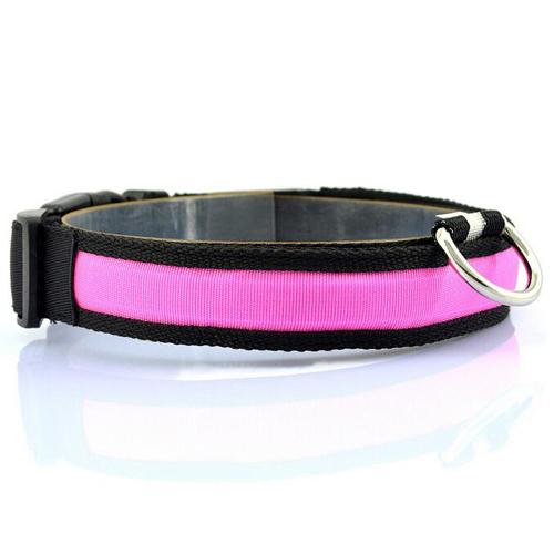 Vibrant LED Dog Collar – Bright Night Glow